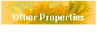 Other Properties